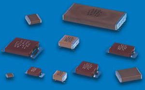 C 279 to C 282 (P-PL-L-R*) Chip Caps Class 2