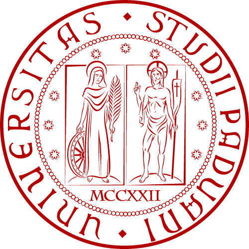 MNEMOSYNE — A non-volatile memory designed for space UNIPD