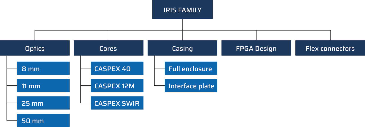 Space Camera Systems from 3D PLUS: The IRIS Camera family Space Camera Systems from 3D PLUS: The IRIS Camera family